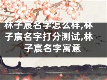 林子宸名字怎么样,林子宸名字打分测试,林子宸名字寓意