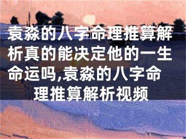 袁淼的八字命理推算解析真的能决定他的一生命运吗,袁淼的八字命理推算解析视频