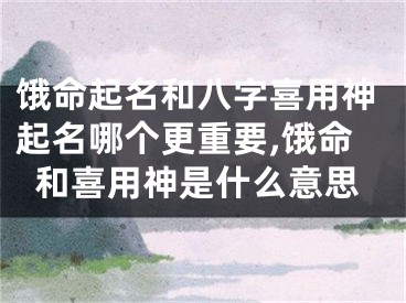 饿命起名和八字喜用神起名哪个更重要,饿命和喜用神是什么意思