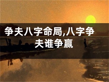 争夫八字命局,八字争夫谁争赢