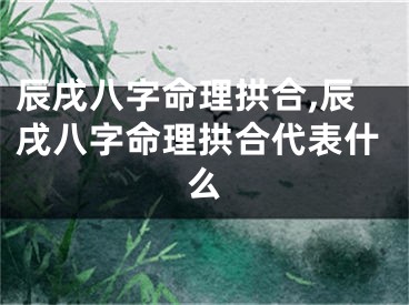 辰戌八字命理拱合,辰戌八字命理拱合代表什么
