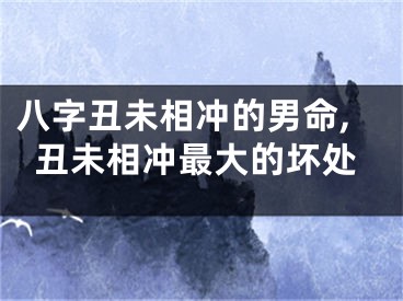 八字丑未相冲的男命,丑未相冲最大的坏处