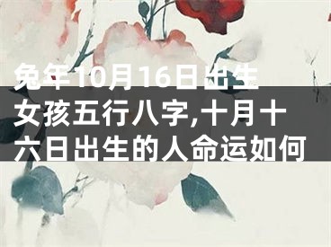 兔年10月16日出生女孩五行八字,十月十六日出生的人命运如何