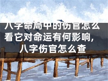 八字命局中的伤官怎么看它对命运有何影响,八字伤官怎么查