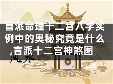 盲派命理十二宫八字实例中的奥秘究竟是什么,盲派十二宫神煞图