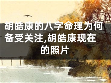 胡皓康的八字命理为何备受关注,胡皓康现在的照片
