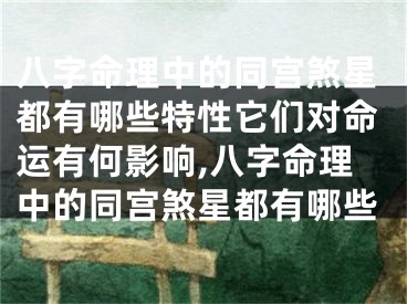 八字命理中的同宫煞星都有哪些特性它们对命运有何影响,八字命理中的同宫煞星都有哪些