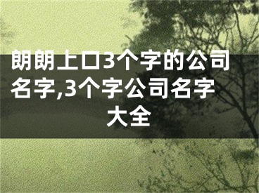 朗朗上口3个字的公司名字,3个字公司名字大全