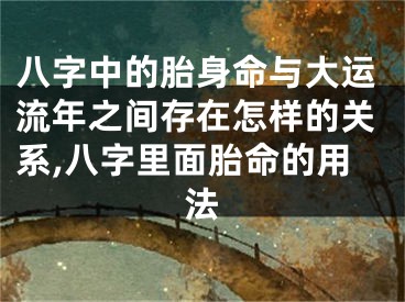 八字中的胎身命与大运流年之间存在怎样的关系,八字里面胎命的用法