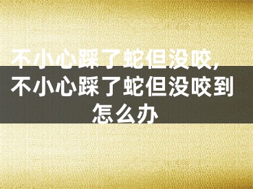 不小心踩了蛇但没咬,不小心踩了蛇但没咬到怎么办