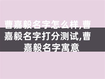曹嘉毅名字怎么样,曹嘉毅名字打分测试,曹嘉毅名字寓意