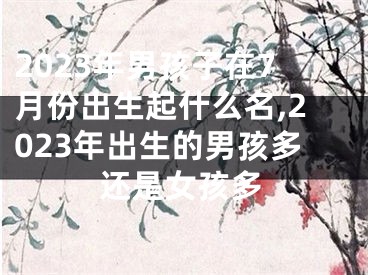 2023年男孩子在7月份出生起什么名,2023年出生的男孩多还是女孩多