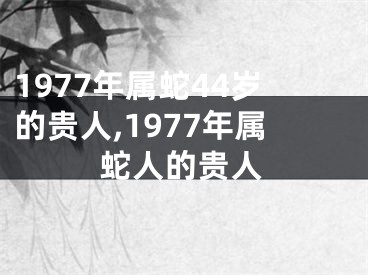 1977年属蛇44岁的贵人,1977年属蛇人的贵人