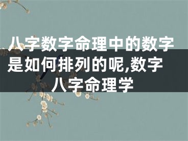 八字数字命理中的数字是如何排列的呢,数字八字命理学