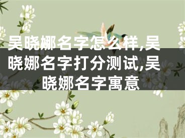 吴晓娜名字怎么样,吴晓娜名字打分测试,吴晓娜名字寓意