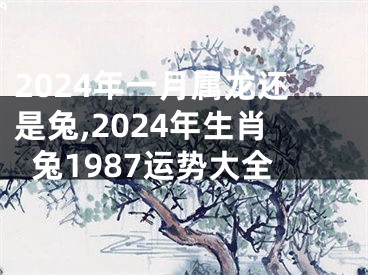 2024年一月属龙还是兔,2024年生肖兔1987运势大全