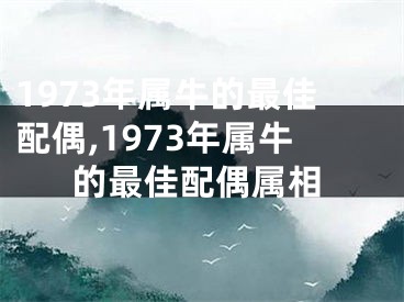 1973年属牛的最佳配偶,1973年属牛的最佳配偶属相