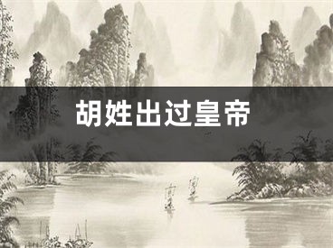 胡姓出过皇帝