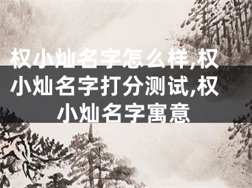 权小灿名字怎么样,权小灿名字打分测试,权小灿名字寓意