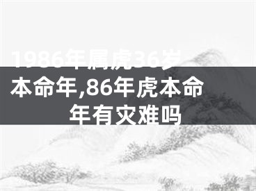 1986年属虎36岁本命年,86年虎本命年有灾难吗
