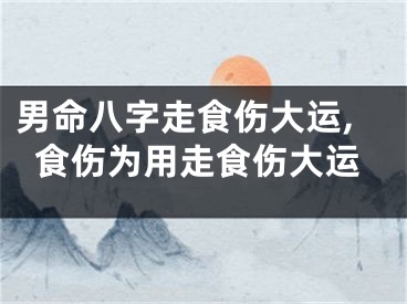 男命八字走食伤大运,食伤为用走食伤大运