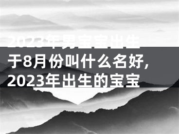 2023年男宝宝出生于8月份叫什么名好,2023年出生的宝宝