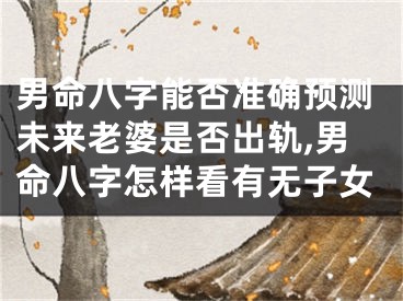 男命八字能否准确预测未来老婆是否出轨,男命八字怎样看有无子女