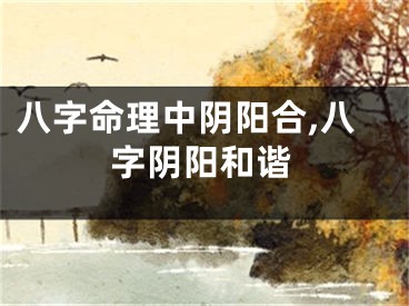 八字命理中阴阳合,八字阴阳和谐