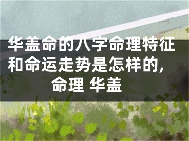 华盖命的八字命理特征和命运走势是怎样的,命理 华盖