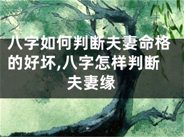 八字如何判断夫妻命格的好坏,八字怎样判断夫妻缘