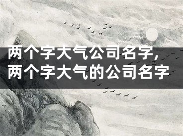 两个字大气公司名字,两个字大气的公司名字