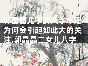 郭晶晶儿子的八字命理为何会引起如此大的关注,郭晶晶二女儿八字