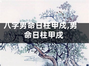 八字男命日柱甲戍,男命日柱甲戌