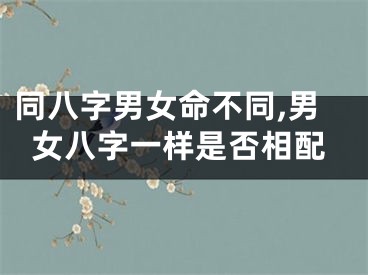 同八字男女命不同,男女八字一样是否相配