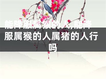 能降服属猴的人,能降服属猴的人属猪的人行吗