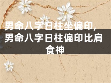 男命八字日柱坐偏印,男命八字日柱偏印比肩食神