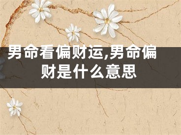 男命看偏财运,男命偏财是什么意思