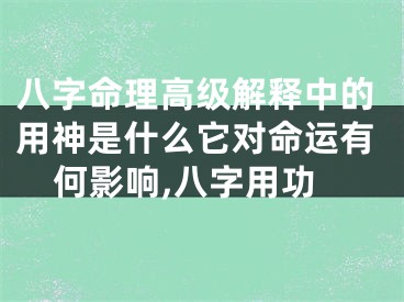 八字命理高级解释中的用神是什么它对命运有何影响,八字用功