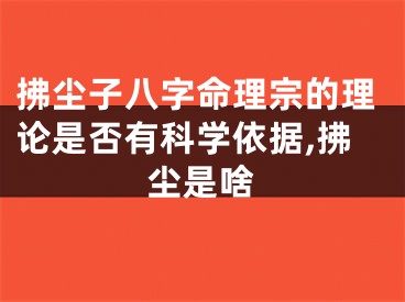 拂尘子八字命理宗的理论是否有科学依据,拂尘是啥