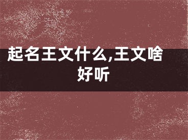 起名王文什么,王文啥好听