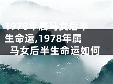 1978年属马女后半生命运,1978年属马女后半生命运如何