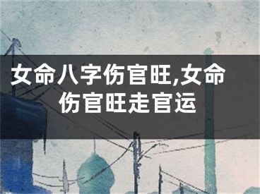 女命八字伤官旺,女命伤官旺走官运