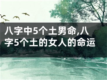 八字中5个土男命,八字5个土的女人的命运