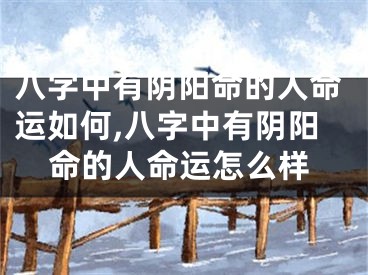 八字中有阴阳命的人命运如何,八字中有阴阳命的人命运怎么样