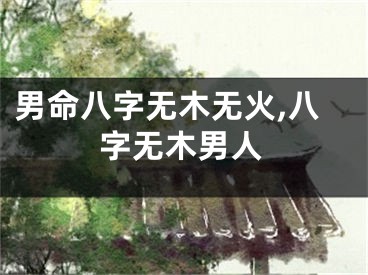 男命八字无木无火,八字无木男人
