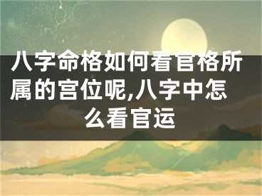 八字命格如何看官格所属的宫位呢,八字中怎么看官运