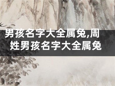 男孩名字大全属兔,周姓男孩名字大全属兔