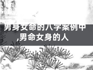 男身女命的八字案例中,男命女身的人