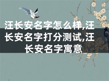汪长安名字怎么样,汪长安名字打分测试,汪长安名字寓意