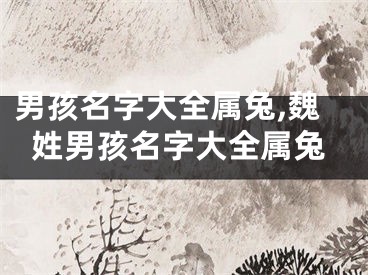 男孩名字大全属兔,魏姓男孩名字大全属兔